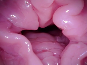 Watch Increase e inflate Coaster's Labia get a camera with respect to POV - A hymen fetish video!